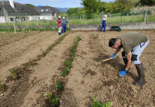 12 alumnos continúan adquirindo formación teórica e práctica no curso de agricultura ecolóxica de Ortigueira